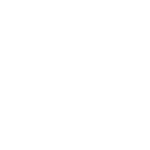 Pixel & Polish